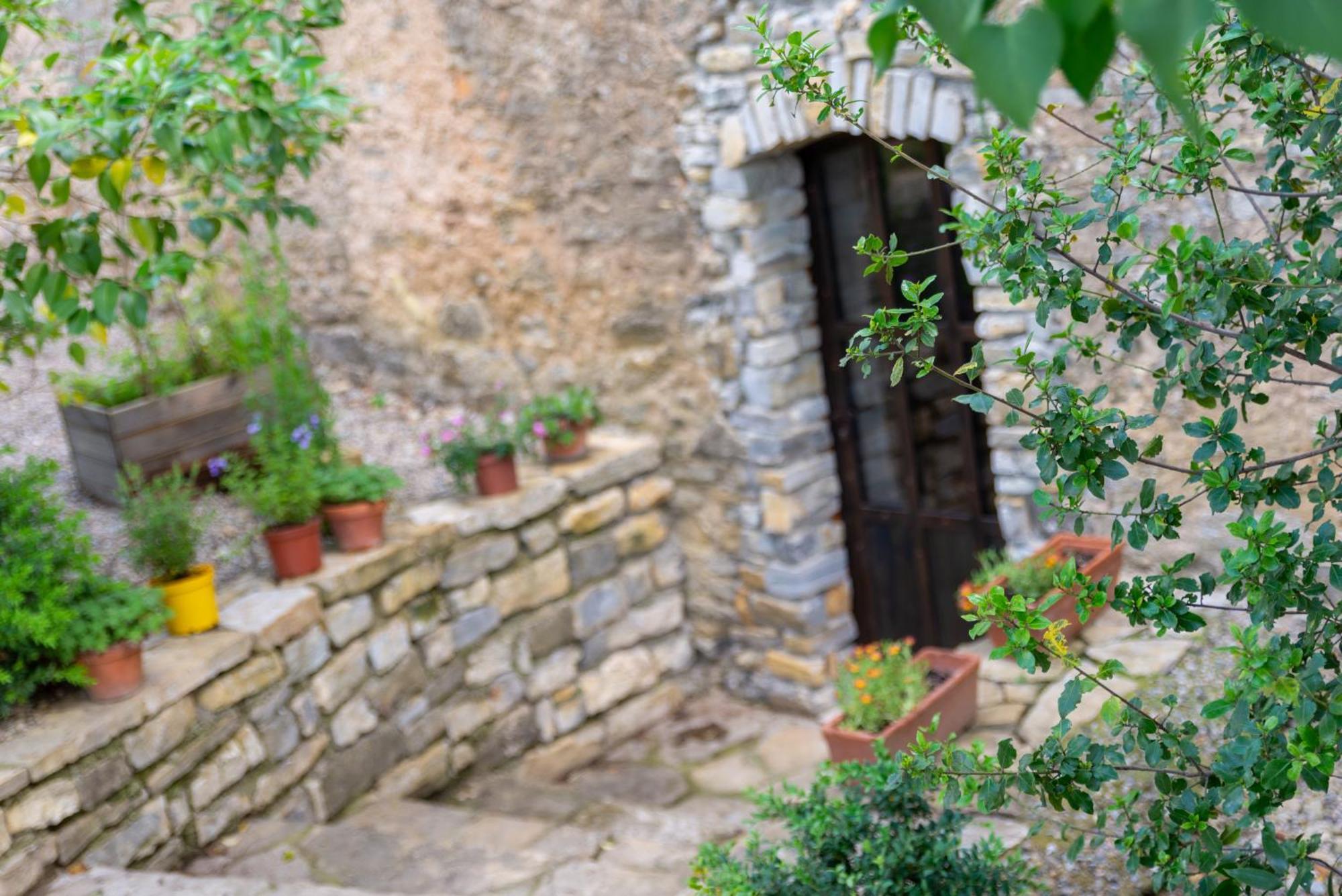 Mas De La Chadenede Maison d'hôtes 3*