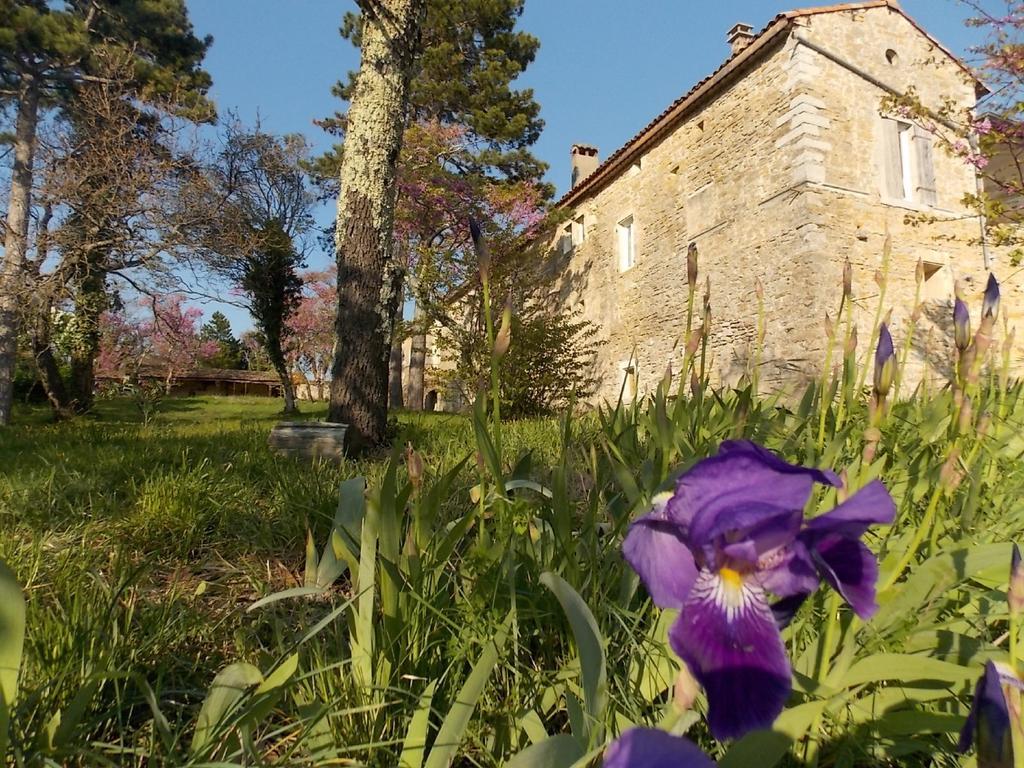 Mas De La Chadenede Lagorce (Ardeche)